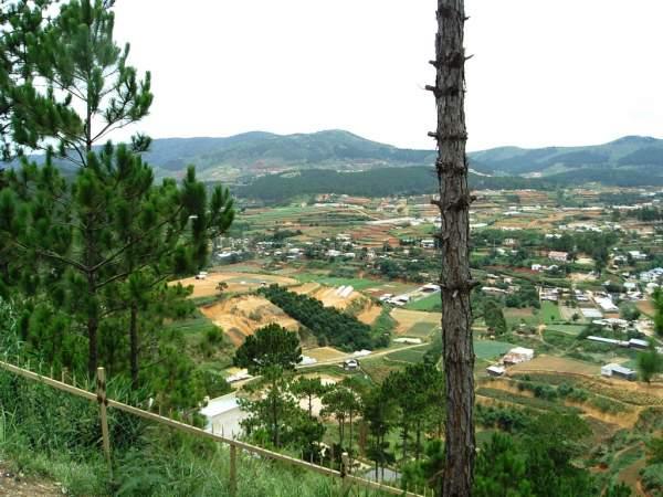 ToanCanhDalatXanh