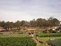 GHHV-nhin+tu+duoi+thung+lung-2