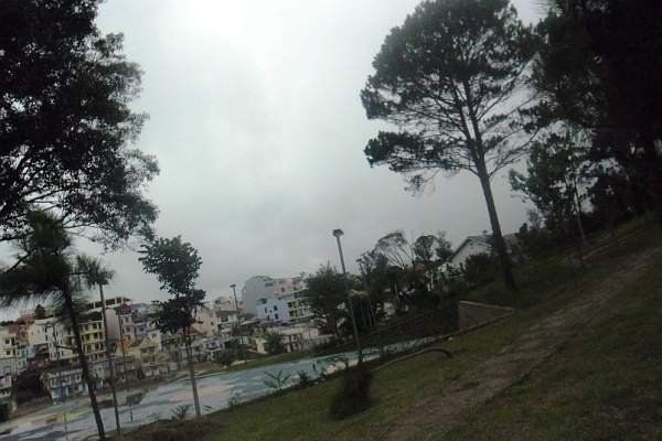SAM_0981