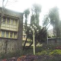 SAM_0961