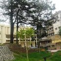 SAM_0984