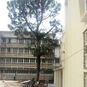 SAM_0996